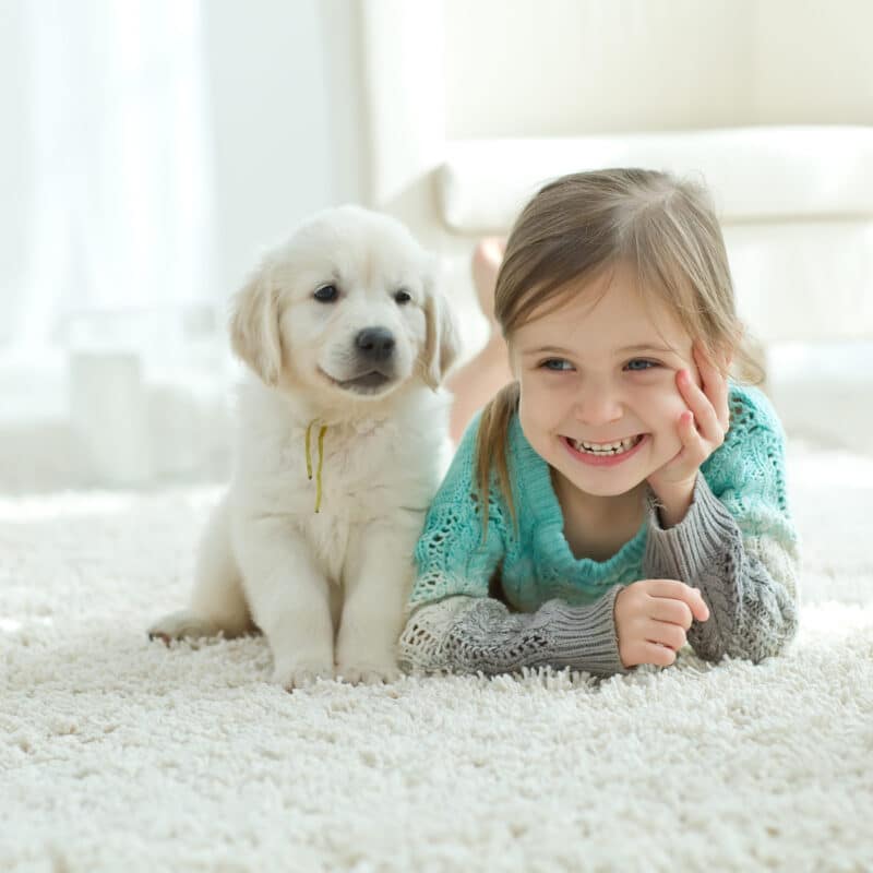 Carpet Cleaning Dublin