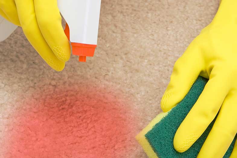 How to Clean a Blood Stain from Carpet