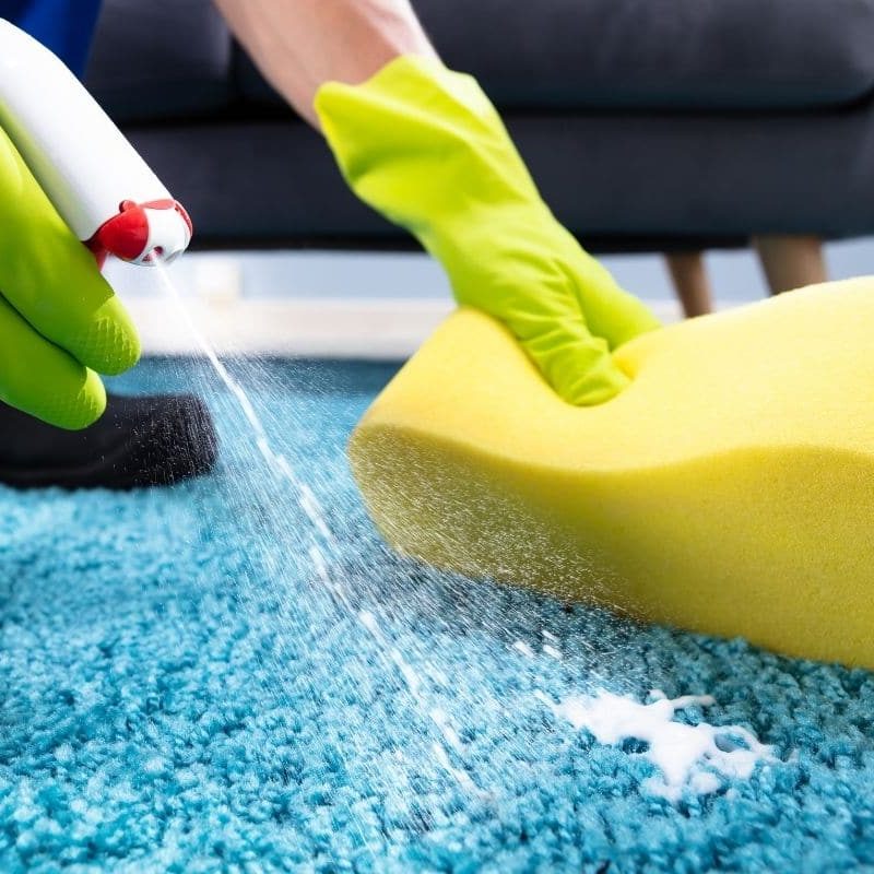 https://renewcarpetcleaning.ie/wp-content/uploads/2022/04/spong-clean-carpet-800x800.jpeg