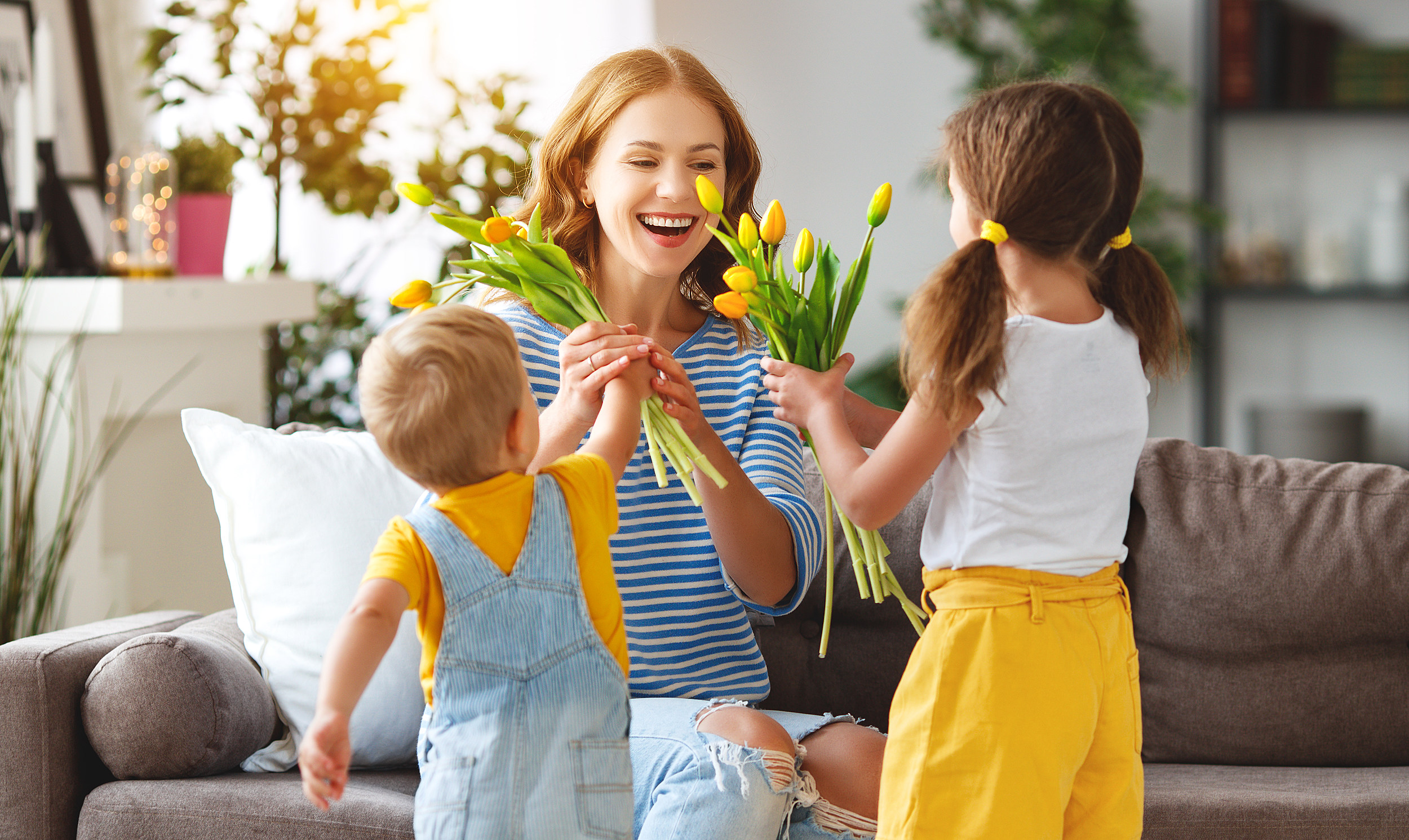 Spring Clean: Hay Fever and Professional Carpet Cleaning